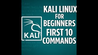 Kali Linux Commands: What Should Beginners Master First?