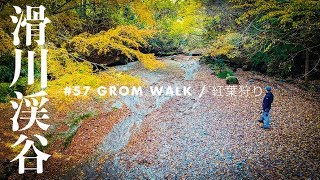 グロムとドローンで往く滑川渓谷 紅葉2018 / GROM散歩 モトブログ