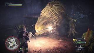 [MHW] ドスジャグラス組手 [ヘビィボウガン]