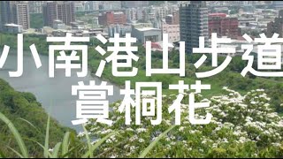 《假日日常》小南港山步道賞桐花2022/04/24