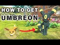 How to get Umbreon ► Pokemon Legends Arceus