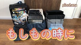 【もしもの時に】オカメインコとセキセイインコと同行避難するための事前準備をしました   防災グッズ 避難グッズ　震災　被災　ペット　鳥　インコpinohana