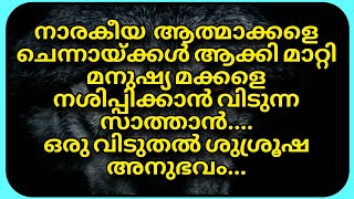 ചെന്നായ്ക്കൾ ആയി മാറ്റപ്പെട്ട നാരകീയ ആത്മാക്കളെ ഈശോ ബഹിഷ്കരിച്ചപ്പോൾ...