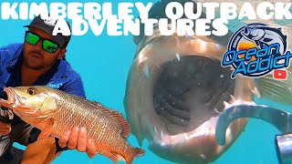 Ocean Addict Ep 40 - Mangrove Jacks shore based on Bait -  All types of reef fish!!