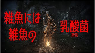 【DARK SOULS REMASTERED】雑魚には雑魚の、乳酸菌【初見】