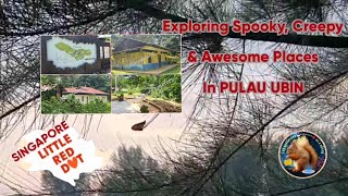 EXPLORING PULAU UBIN