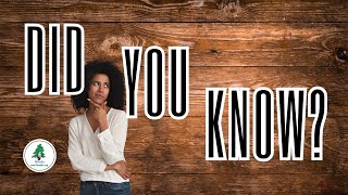 What Wood That Be Made Of? Ten Things You May Not Know Come from Wood.