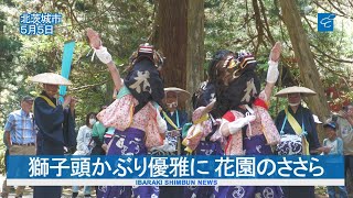 獅子頭かぶり優雅に 花園のささら