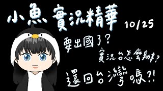 【小魚】實況精華｜近況更新\u0026未來規劃