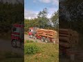 nz logging e freight on klondyke road