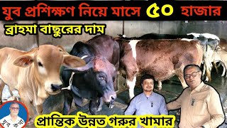 প্রশিক্ষিত মাহফুজের গরুর খামার থেকে মাসে আয় ৬০ হাজার। ব্রাহমা বাছুর পালন।উন্নত গরুর খামার। যুব কথা।