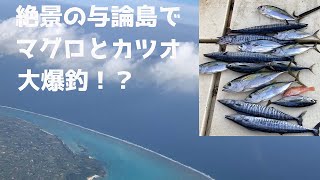 パヤオで爆釣！？与論島　Big catch on fishing reef in Yoron Island #釣り #与論