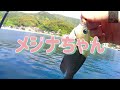 【釣り⭐︎キャンプ】イカ！魚！釣れまくり！食いまくり！in青海島（山口県）