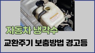 자동차 냉각수 부동액 교환주기 보충방법 경고등