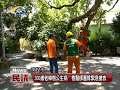 20170831民議新聞 300歲老樟樹公生病 樹醫師團隊緊急搶救 縣議員 賴燕雪、曾振炎