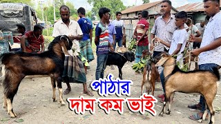 কম দামে ছোট বড় পাঠা ছাগল | প্রচুর আমদানি এই অসময় পাঠার | Farm of Bangla