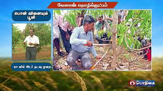 மாவில் அடர் நடவு முறை | Agricultural Technology