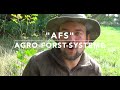 Agro-Forst-Systeme: Die Lösung für die Welt-Ernährung???