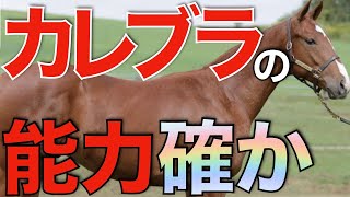 【これで70万】種牡馬カレンブラックヒルが有能すぎる！コスパなら1番かも。