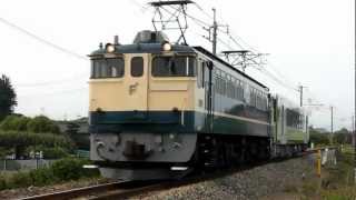 両毛線で田端PF！！配8678ﾚ EF651105+ｷﾊ110-208