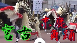 末角鹿踊り（宮古）　in 岩手北上みちのく芸能まつり【2018夏】盛上部