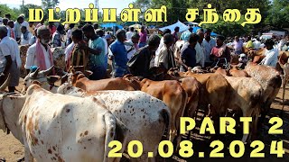 20.08.2024 Matrapalli Cowmarket part2