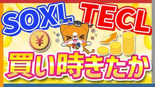 【一攫千金】 TECL SOXL  買い時きたか？ 【爆益】