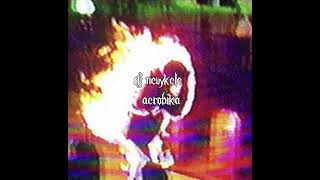 dj nevykele - aerobika (slowed \u0026 bassbosted)