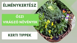 Őszi virág tippek: Ezekkel a virágzó növényekkel biztos a siker!🌸🌼