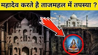 आखिर वैज्ञानिकों को क्या मिल गया ताजमहल के नीचे || Secrets of taj mahal | Taj mahal mystery