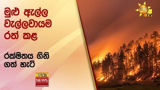 මුළු ඇල්ල වැල්ලවායම රත් කළ රක්ෂිතය ගිනි ගත් හැටි - Hiru News