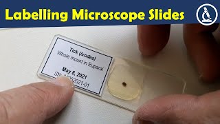 🔬 How to put labels on microscope slides