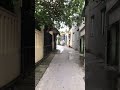 越南农村风景条路走什么样 shorst