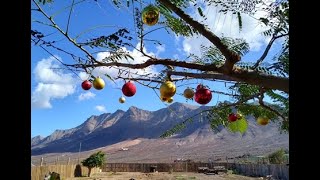 Fuerteventura, Wanderung durch den GranValle-Barranco nach Cofete