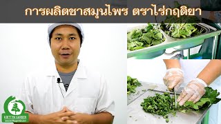 การผลิตชาสมุนไพร แบรนด์ไร่กฤติยา (รับผลิต OEM)