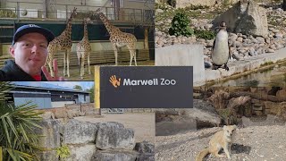 I went to Marwell Zoo (2023)