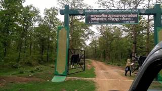 KoKa Forest Safari of Chandewar Family