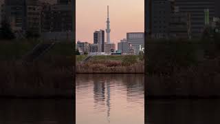 2023/12/07 노을🌇 #tokyo #도쿄 #sunset #japan #skytree #fuji #후지산 #夕日 #富士山 #スカイツリー