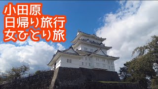 【女ひとり旅】小田原　日帰り観光【ミナカ小田原　小田原おでん　小田原城　海　御幸の浜　アジフライ】