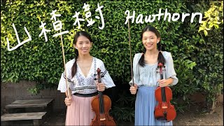 《Hawthorn/Ural rowan tree/Уральская рябинушка/山楂樹》violin/viola/piano小提琴/中提琴/鋼琴【Covered by HannahMia】