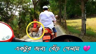 প্রকৃতির অপরূপ  Surjomukhi sea Beach | Hatiya  Noakhali | সূর্যমূখি সী-বীচ | হাতিয়া নোয়াখালী