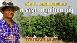 ๑๒ ปี..ปลูกป่าบนคันนา \