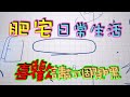 【豹龜】東非肯亞豹紋陸龜日常生活492~猜猜看～誰懂的回家~