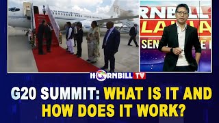 G20 SUMMIT: WHAT IS IT AND HOW DOES IT WORK?