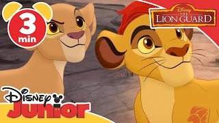 Magical Moments: | The Lion Guard: Kion and Kiara | Disney Junior UK