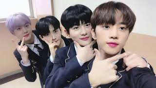 [THE BOYZ X GOLDEN CHILD] cute friendship which makes the srtong relationship goldennesXtheb #Shorts