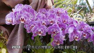 2018台中世界花卉博覽會   花舞館   蘭花廳｜優遊步調 Yo Yo Tempo