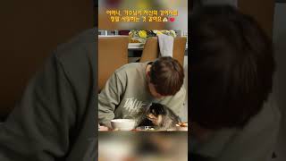 어머나, 가수님이 자신의 강아지를 정말 사랑하는 것 같아요🐶❤️ #박서진