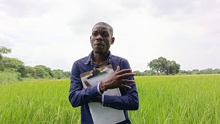 ENJENYÈ CLAUDE SOUKÉ PEYI A DYASPORA SEPARÉANPIL LAJAN ANBA NAN PLÈN NAN 👏💥