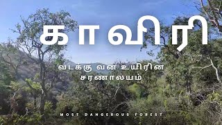 காவிரி வடக்கு வன உயிரின சரணாலயம்#காவிரி #forest 🐅🐅🐅🐅🐃🐃🐃🦣🦣🐒🐒🐒🐒🦁🦁🦁🦁🐫🐫🐫🐂🐂🐂🦜🦜🦜🦜🦅🦅🦅🦅#kauvery north forest